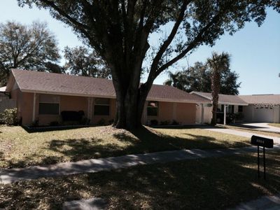 8804 Oak Cir, Tampa, FL, 33615