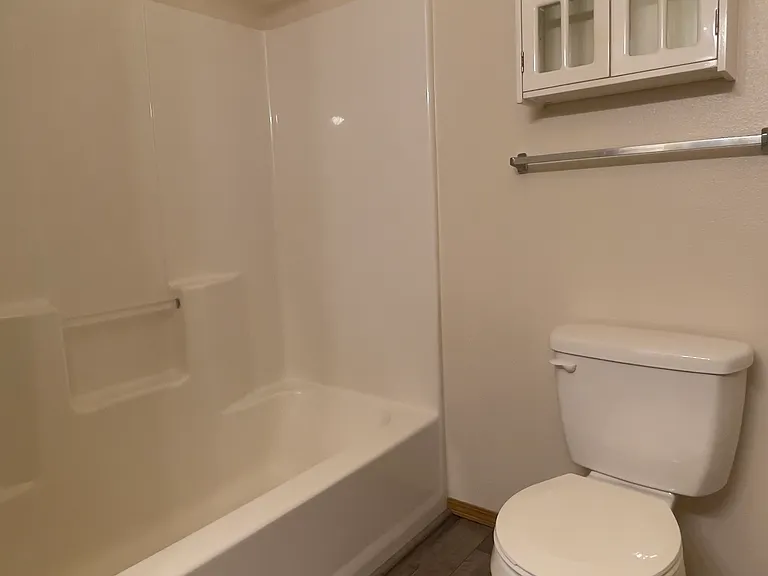 Hall Bathroom-2nd view