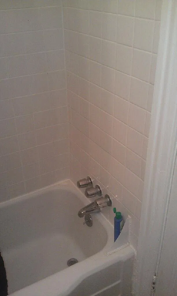 1 bed, 400 sqft, $1,100 — Photo 2