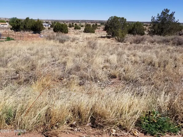 LOT 33 Ridgeview Dr, Snowflake, AZ 85937