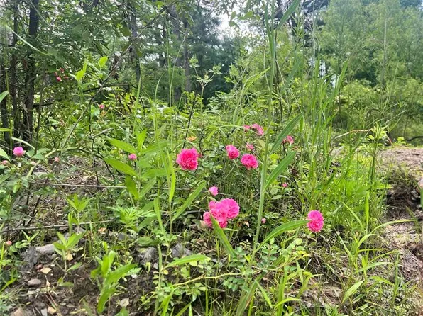 48 N Dana Bell Rd Lot 9, Broken Bow, OK 74728