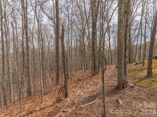 0 Michele Ln Unit 4, Leicester, NC 28748