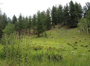 3408 Wildhorn Rd, Florissant, CO 80816