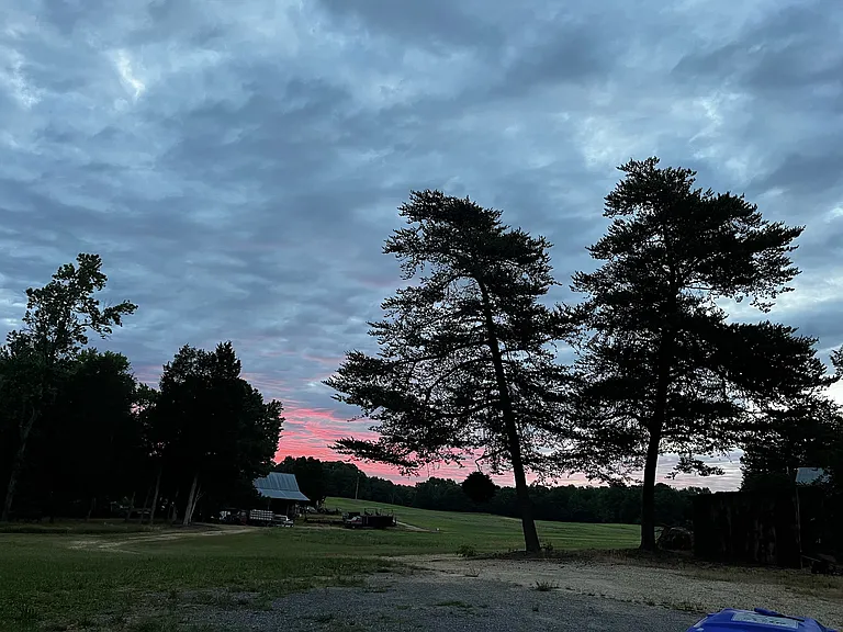 View looking out to farm