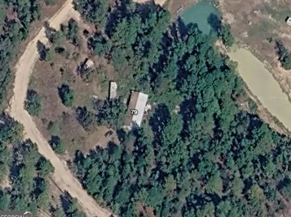 79 Governors Dr, Box Springs, GA 31801