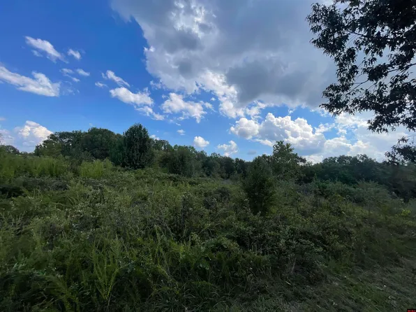 LOT 5 Highway 201 N, Mountain Home, AR 72653
