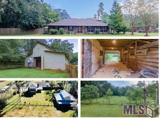 18229 Old Ferry Rd, Maurepas, LA 70449