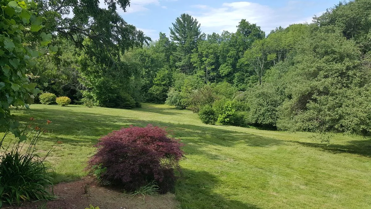 1 bed, 620 sqft, $1,500 — Photo 2