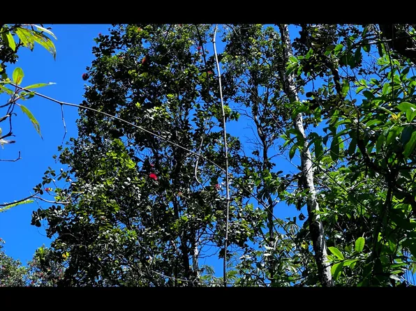 14-3503 Waimea Rd Lot 443, Pahoa, HI 96778