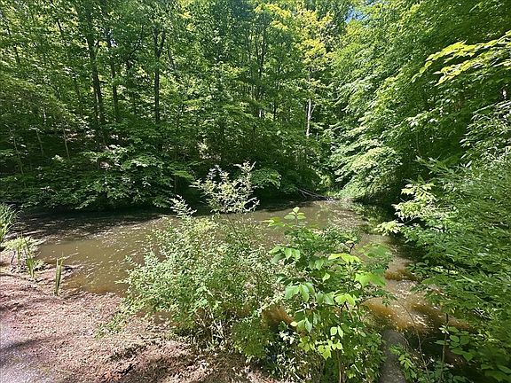 5th image of 1826 Toms Run Rd