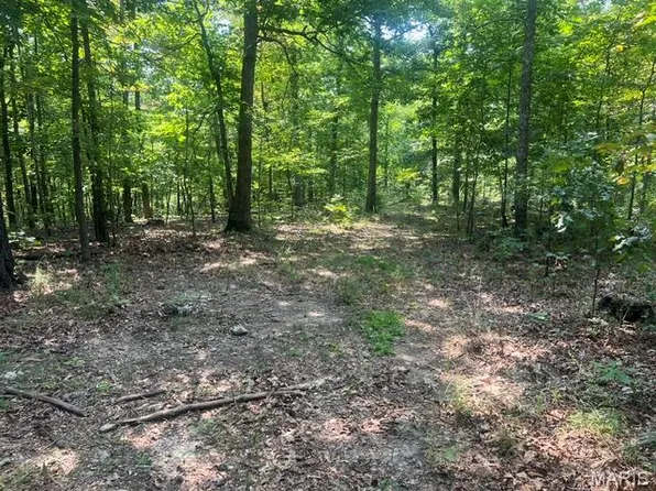0 County Road 341, Piedmont, MO 63957