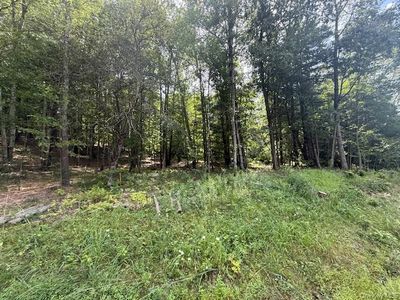 LOT 3 Shoddy Hollow Road, Otisville, NY, 10963