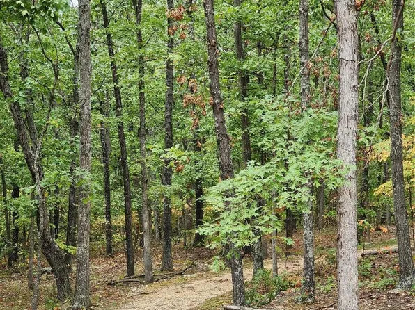 10464 Singer Trl, Potosi, MO 63664