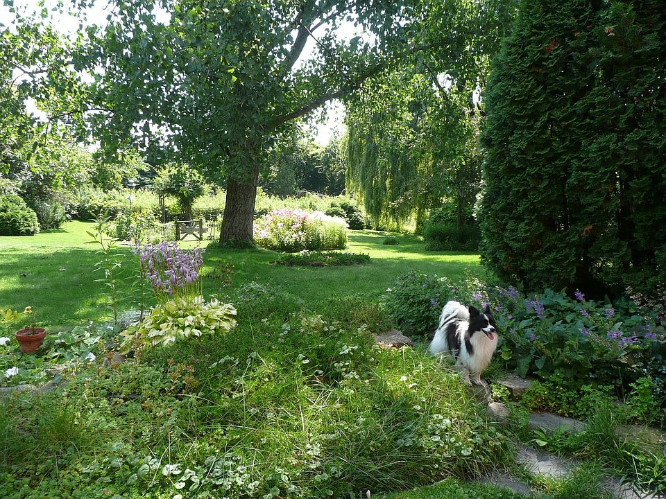 One acre, lots of gardens, the birds love it!