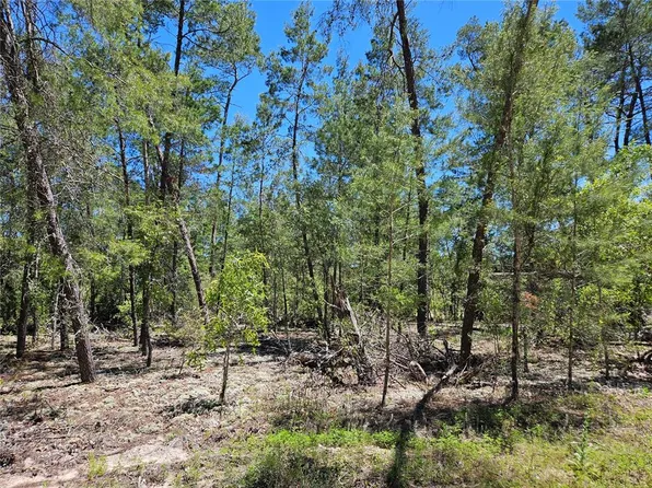 851 SE 145th Ct #10, Williston, FL 32696