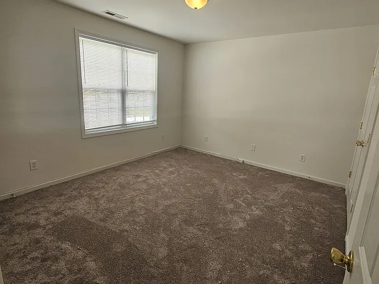 4212 Winding Branches Dr — Photo 8
