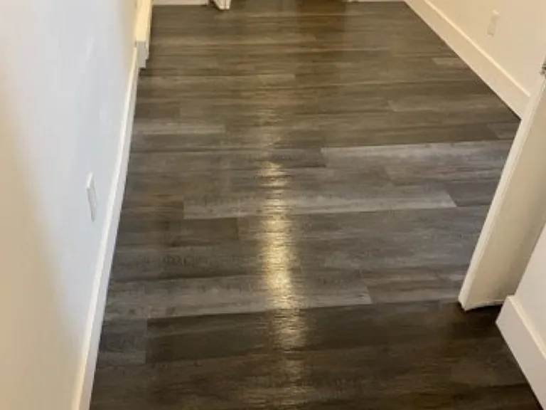 Main Entrance Space of apartment unit