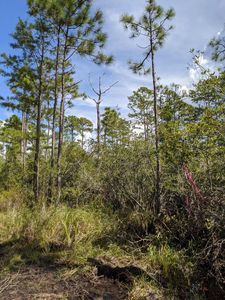LOT 10 Calm Gulf Dr, Santa Rosa Beach, FL, 32459