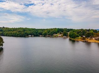 393 Spruce Dr, Spring City, TN 37381