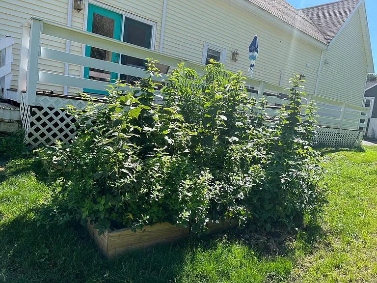 643 West St — Photo 39