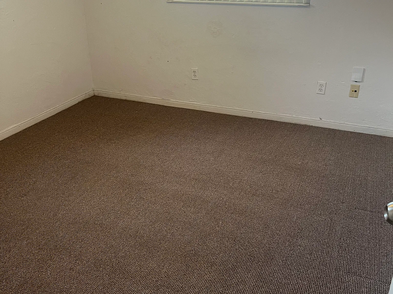 421 Andrews St — Photo 4