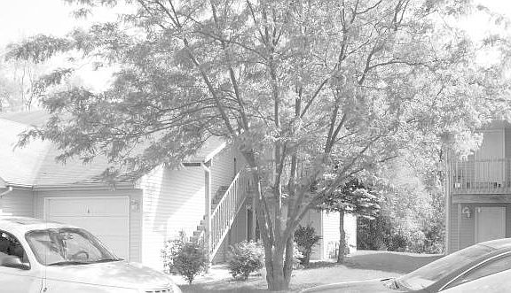 5th image of 1041 Minns Dr APT 4
