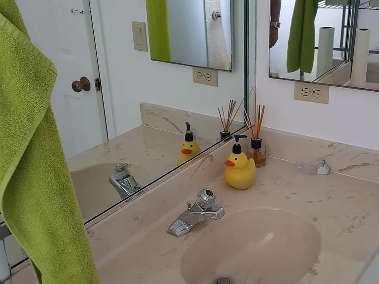 Guest bathroom