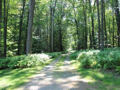 N Briar Hl, Lakeville, PA, 18438