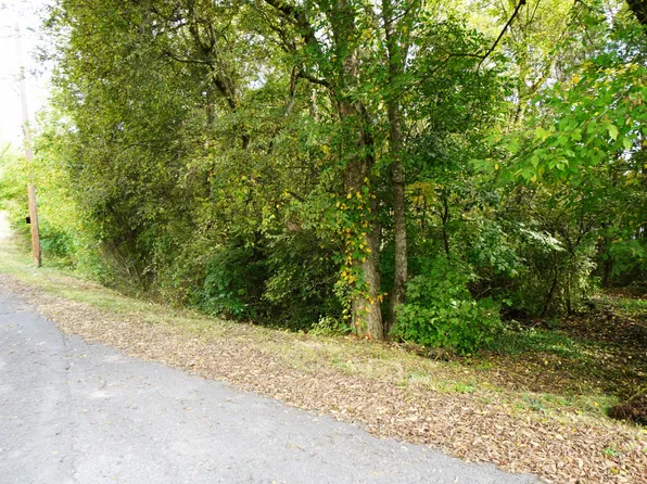 LOT 14 W View Dr, Strawberry Plains, TN 37871