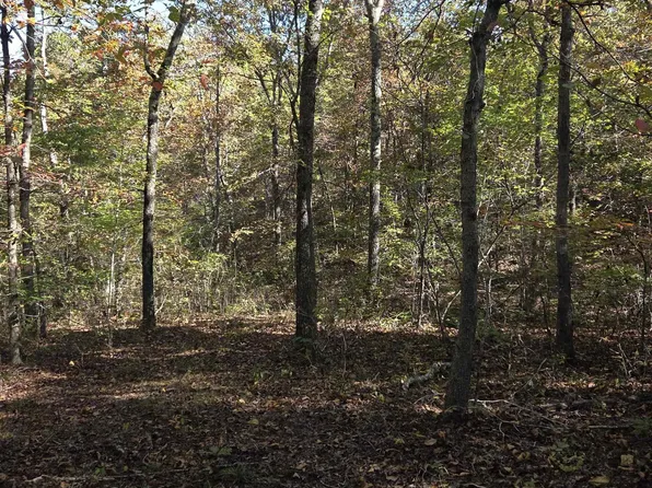 0 Karen Dr, Dennard, AR 72629