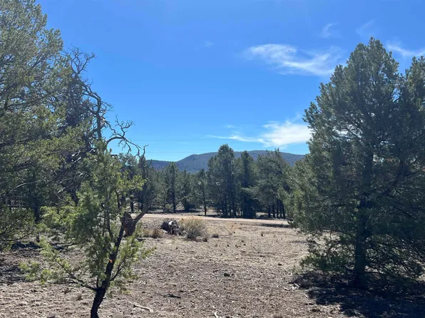 12 Elk View Cir, Quemado, NM 87829
