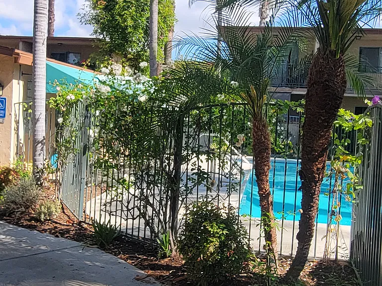 Palm Court Apartments — Photo 11