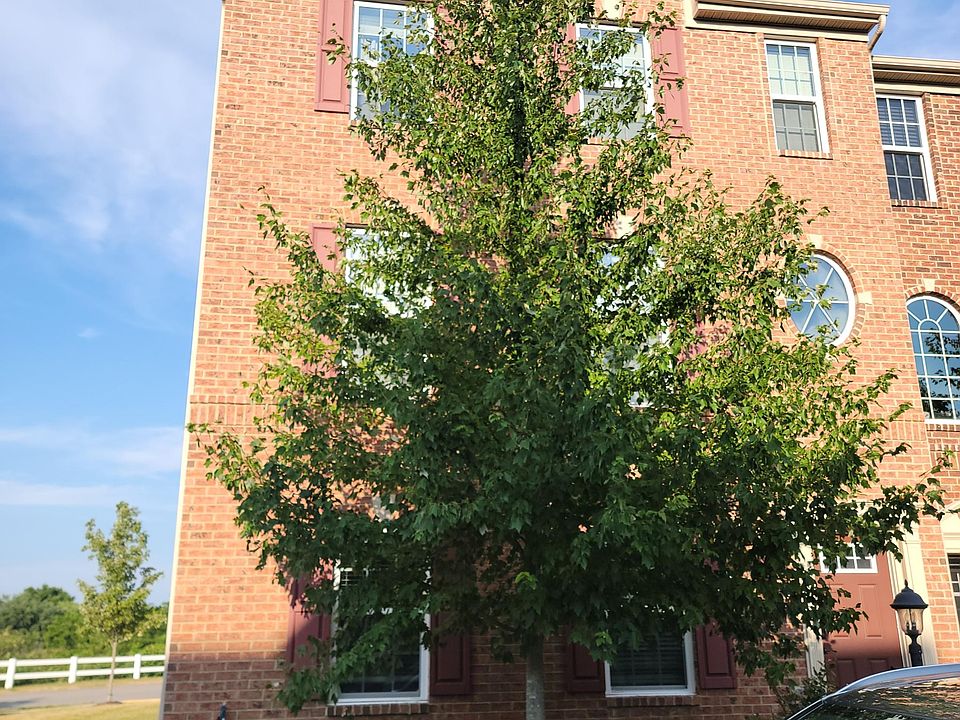 1st image of 1854 Louisville Ln