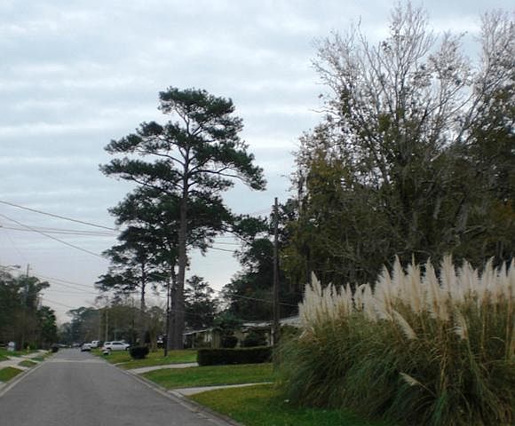 2nd image of 5229 Camille Ave