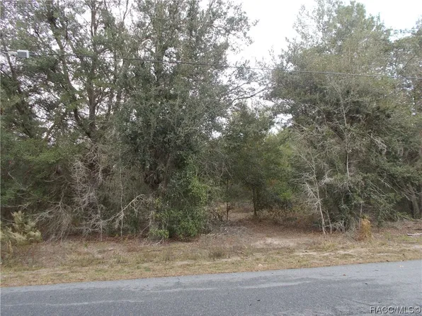 1793 E Humphrey Ln, Hernando, FL 34442