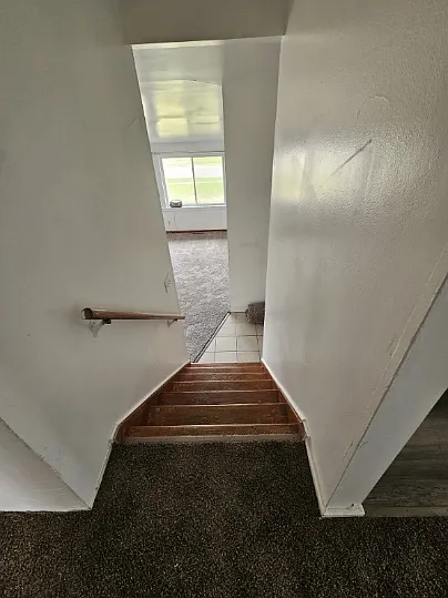 7 Evergreen Dr — Photo 12