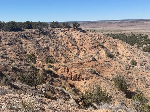 Lot 96 Bonito Valley Ranch -- #96, St Johns, AZ 85936