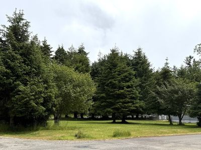 0 Gile Place, Ocean Park, WA, 98640