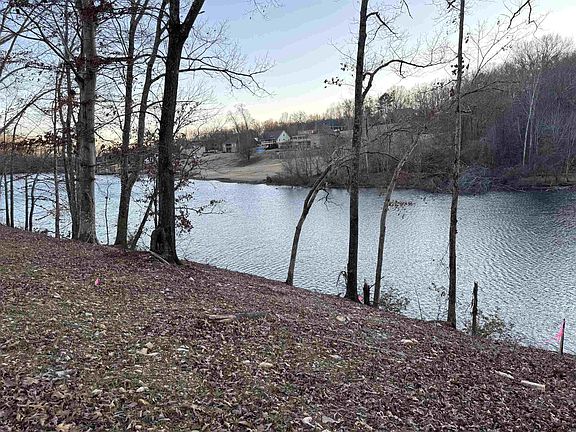 4th image of 58 Cole Creek Cv
