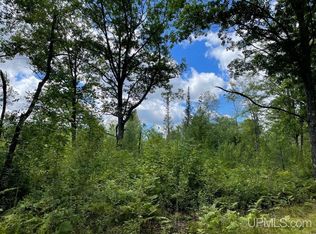 353 Stager Lake Rd, Crystal Falls, MI 49920