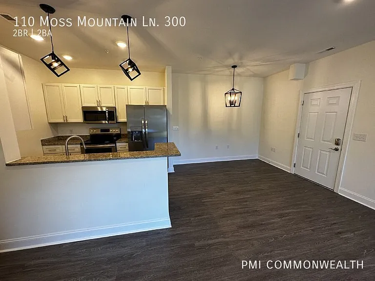 110 Moss Mountain Ln #300 — Photo 11