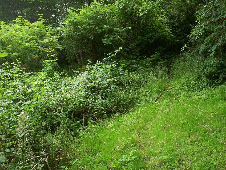 2nd image of 11281(EST) Yaquina Bay Rd