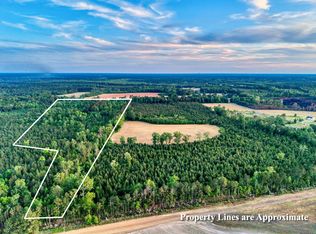 240 Guess Rd, Greeleyville, SC 29056