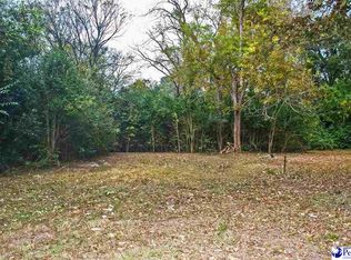 112 Jefferson St, Darlington, SC 29532