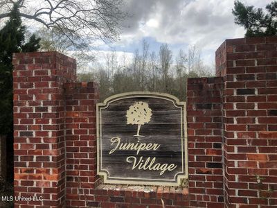 No Theodore Dr Lot 26, Poplarville, MS, 39470
