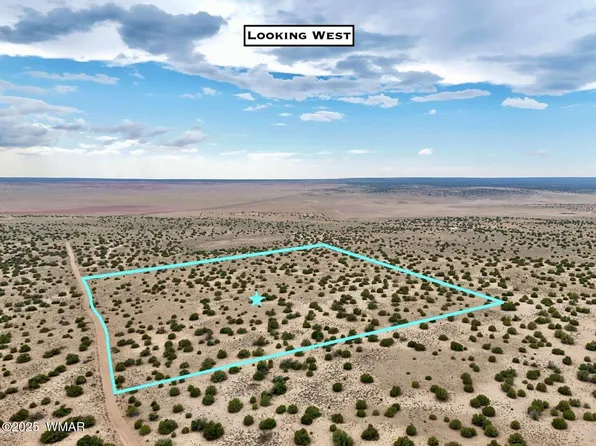 0 Road 7124, Saint Johns, AZ 85936