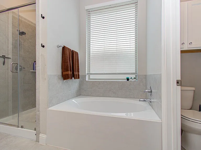 10442 Eastern Bluestar Dr — Photo 33