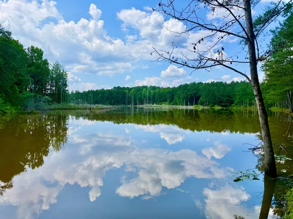 47 Pauline Dr, Reynolds, GA 31076