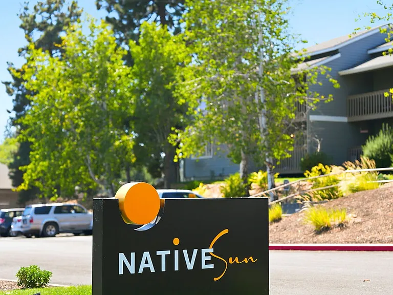 Native Sun — Photo 15