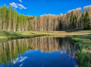 TRACT 3 Buckhorn Rd, Montrose, CO 81401